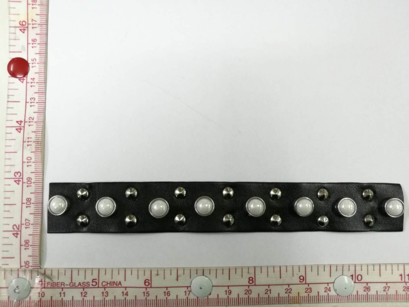 CTZ10646