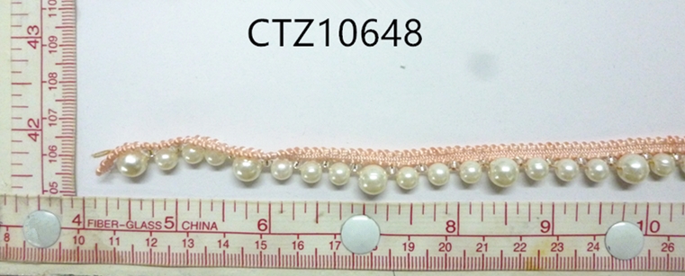 CTZ10648