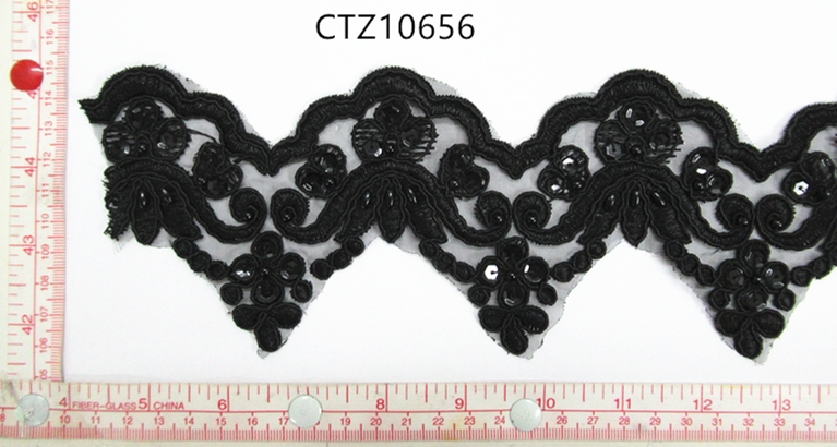 CTZ10656