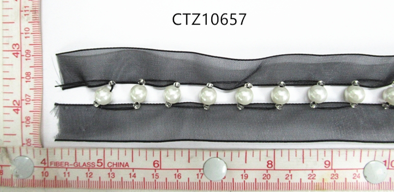 CTZ10657