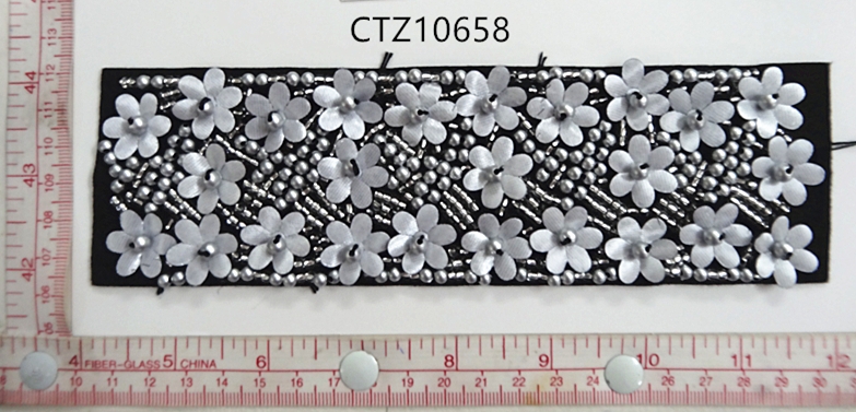 CTZ10658