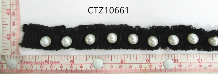 CTZ10661