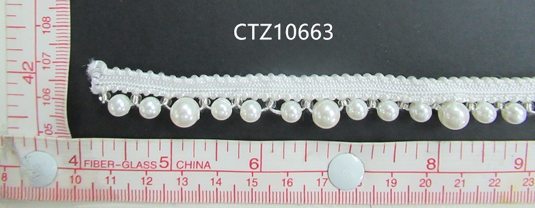 CTZ10663