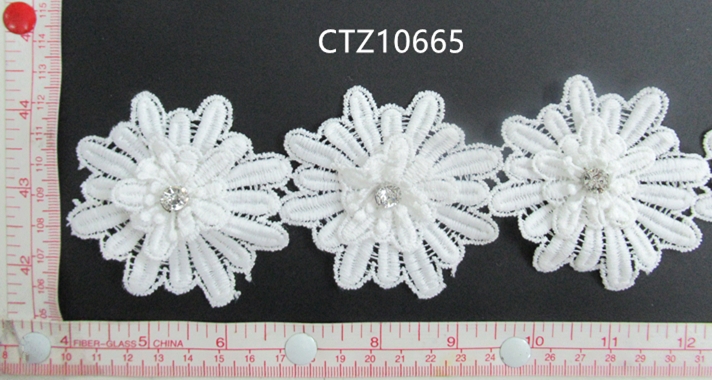 CTZ10665