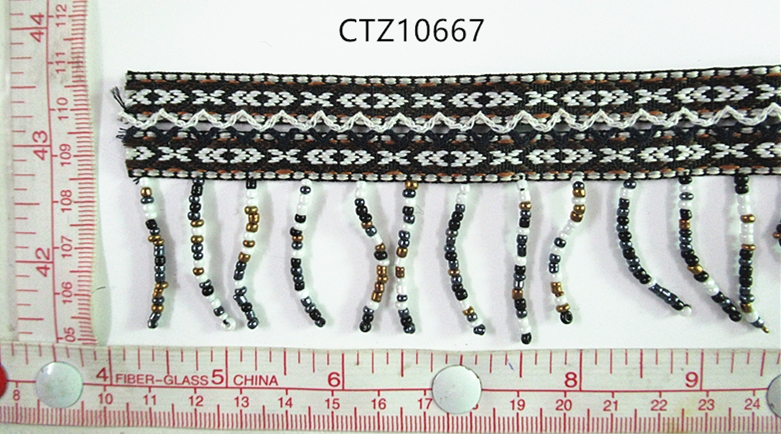 CTZ10667