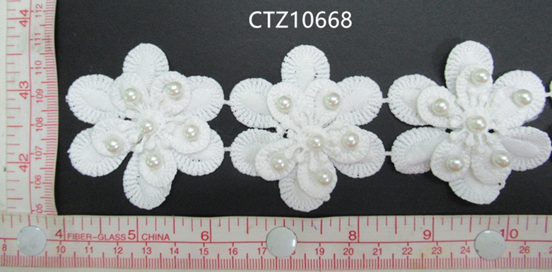 CTZ10668