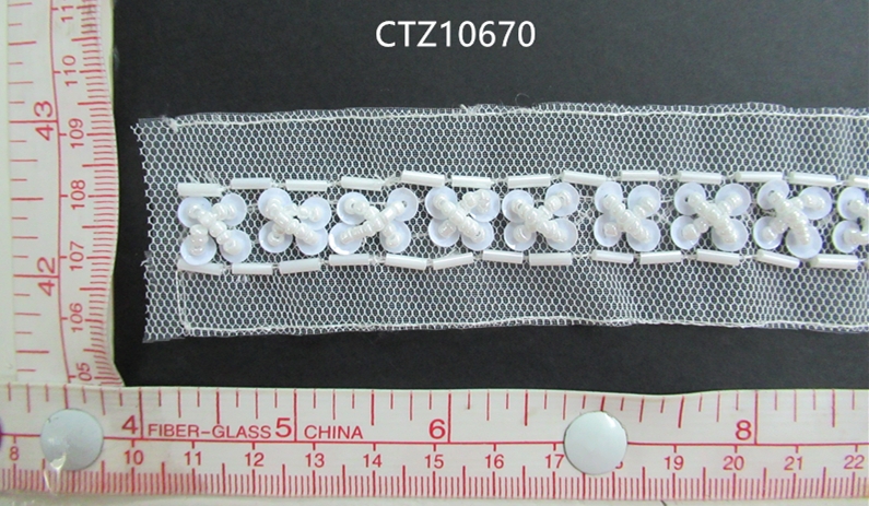 CTZ10670