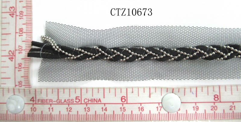 CTZ10673