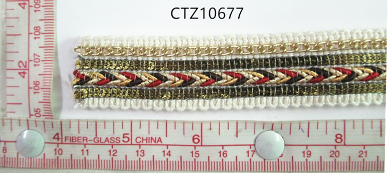 CTZ10677