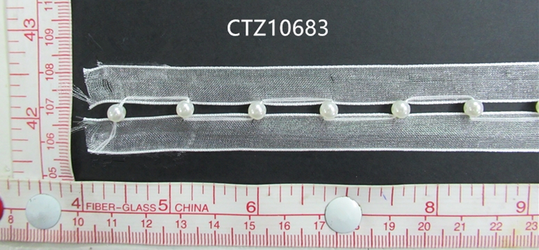CTZ10683