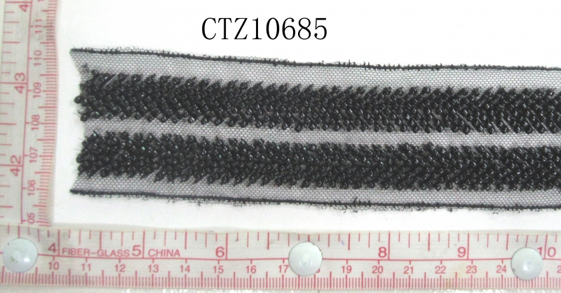 CTZ10685