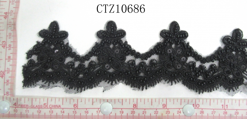 CTZ10686