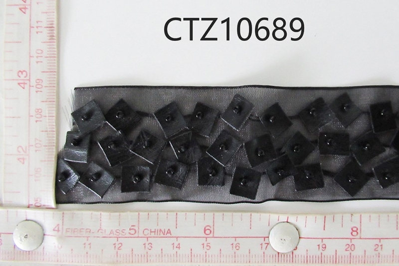 CTZ10689