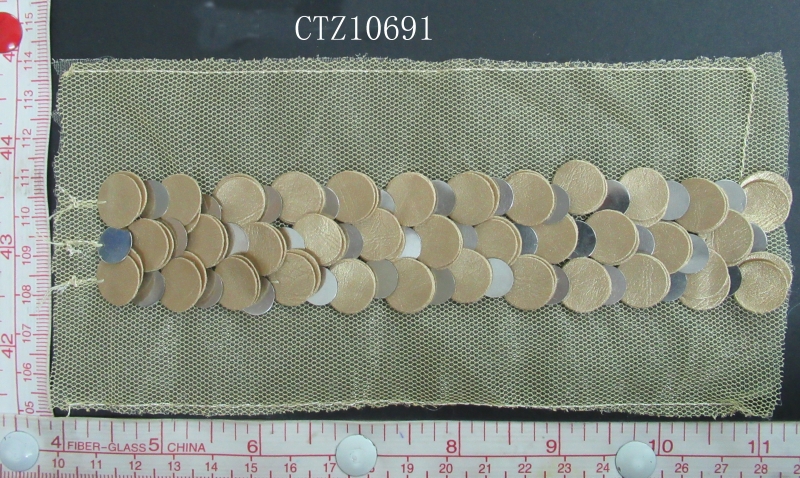 CTZ10691