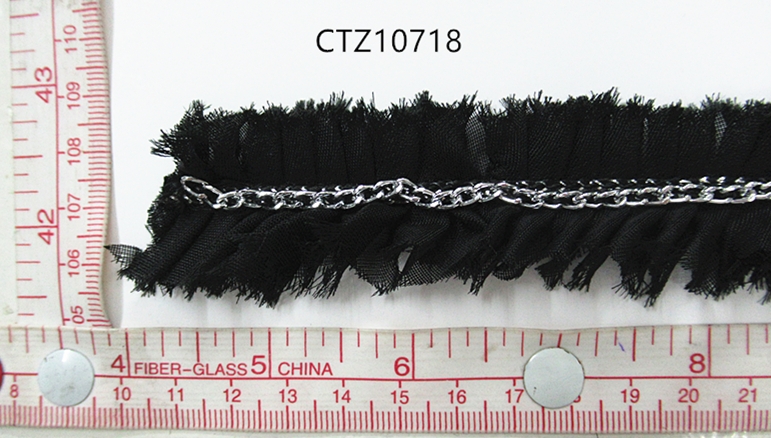 CTZ10718
