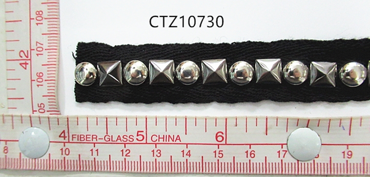 CTZ10730