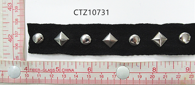 CTZ10731
