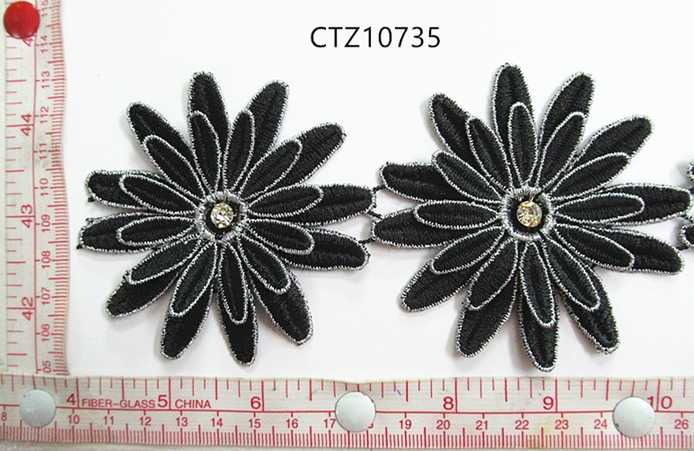 CTZ10735