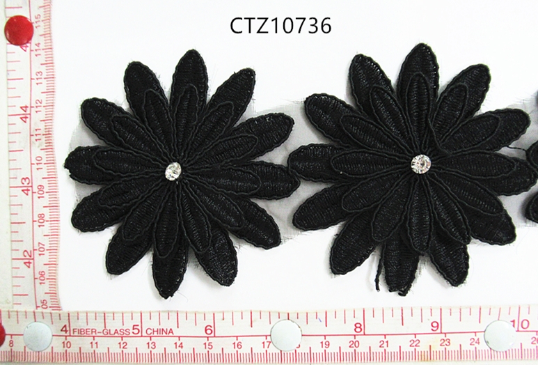 CTZ10736