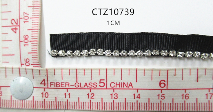 CTZ10739