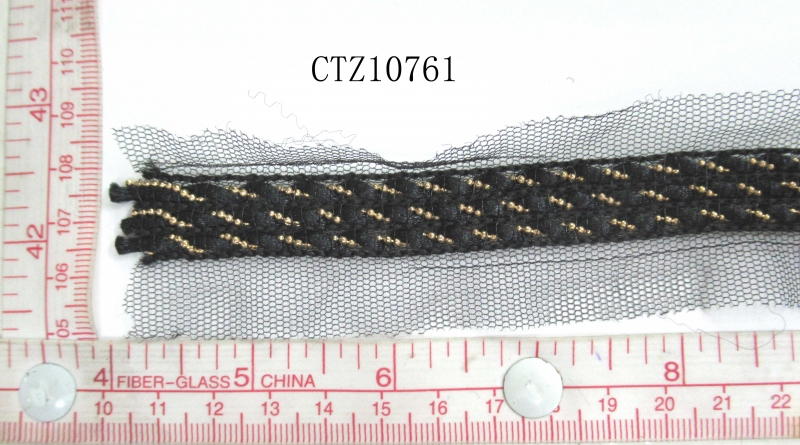 CTZ10761