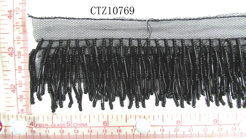 CTZ10769