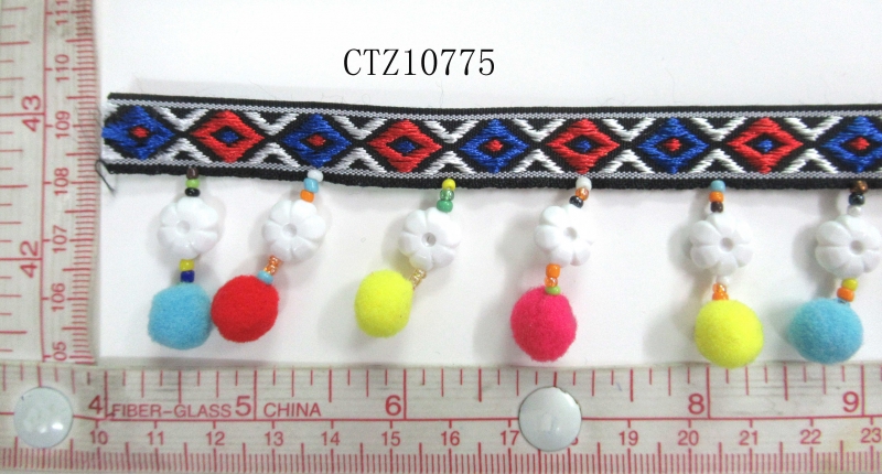 CTZ10775