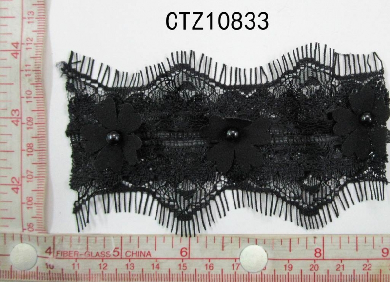 CTZ10833