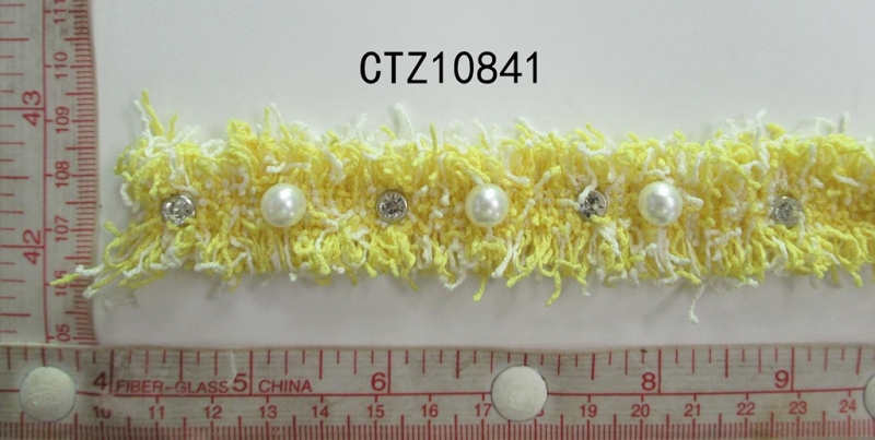 CTZ10841