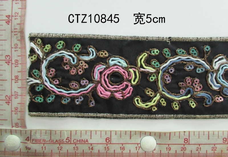 CTZ10845