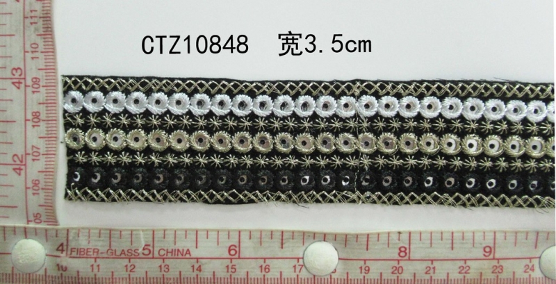 CTZ10848