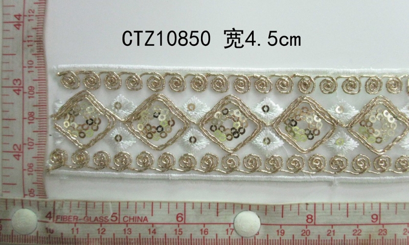 CTZ10850