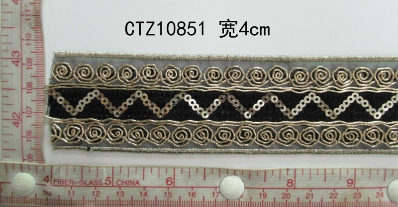 CTZ10851