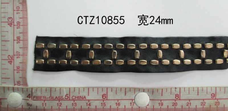 CTZ10855