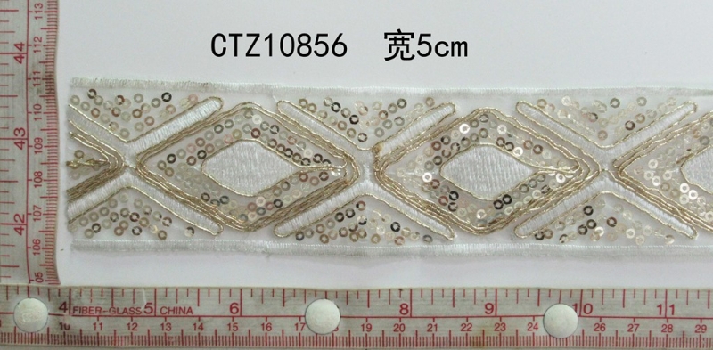 CTZ10856
