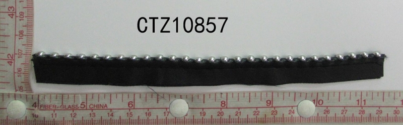 CTZ10857