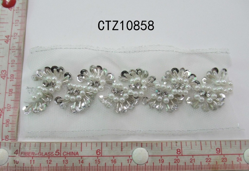 CTZ10858
