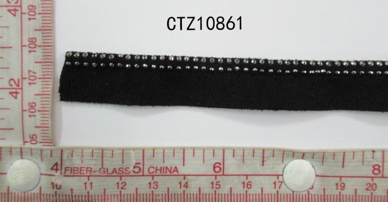 CTZ10861