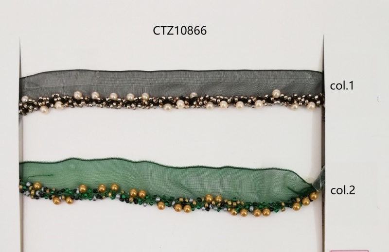 CTZ10866