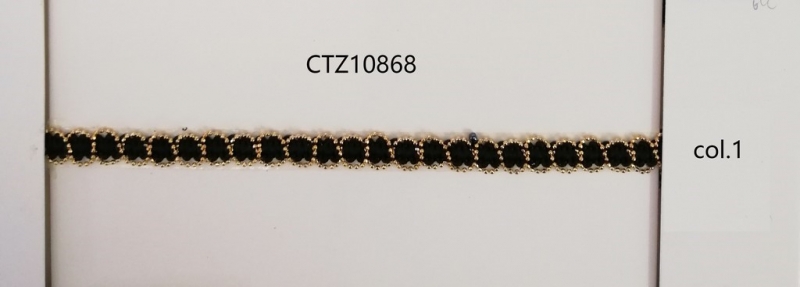 CTZ10868