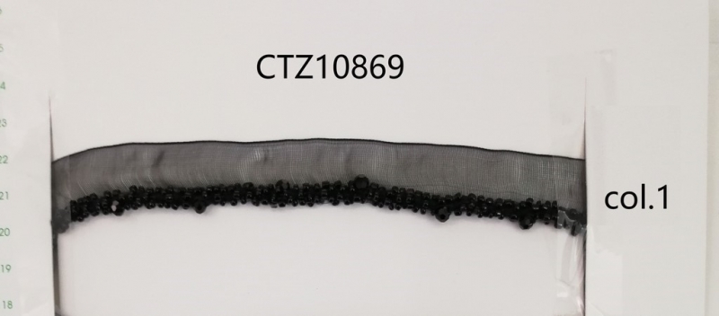 CTZ10869