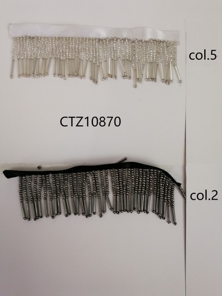 CTZ10870-2
