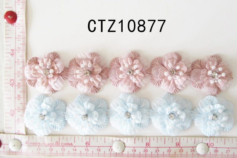 CTZ10877
