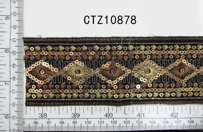 CTZ10878