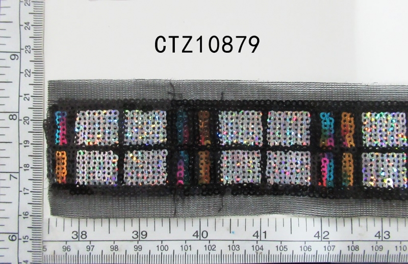 CTZ10879