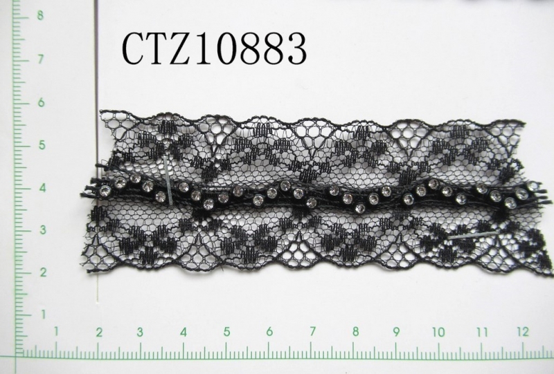 CTZ10883