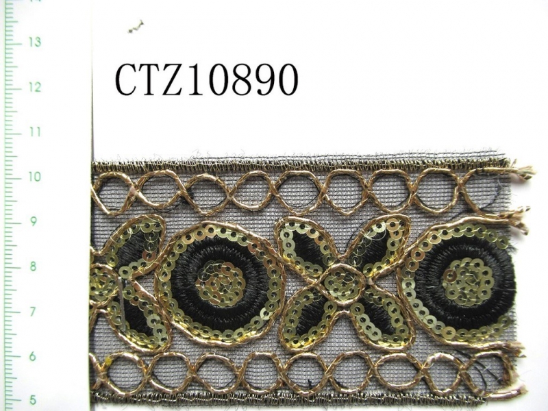 CTZ10890