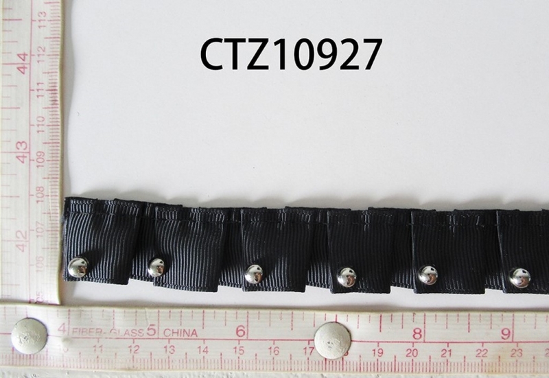 CTZ10927