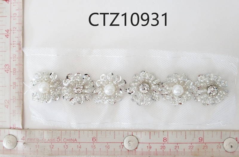 CTZ10931