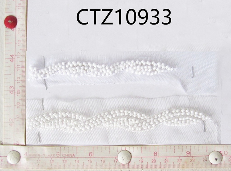 CTZ10933